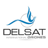 DELSAT INTERNATIONAL GROUP