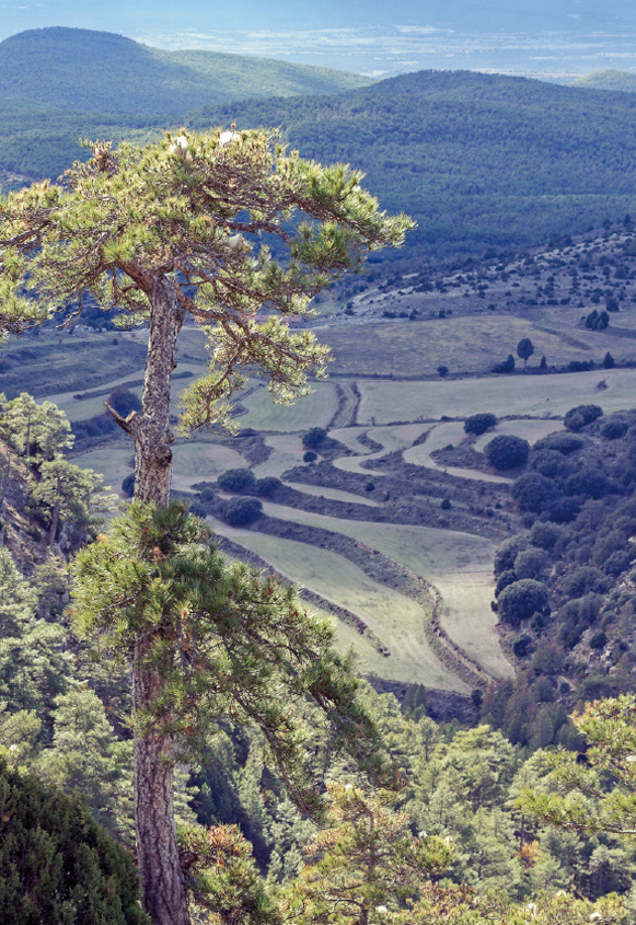 Foto Teruel